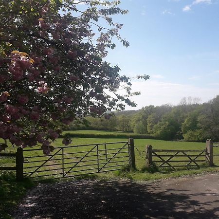 Moaps Farm B&B Support Small Business, Welcome, Check In From 5 Pm Danehill Buitenkant foto
