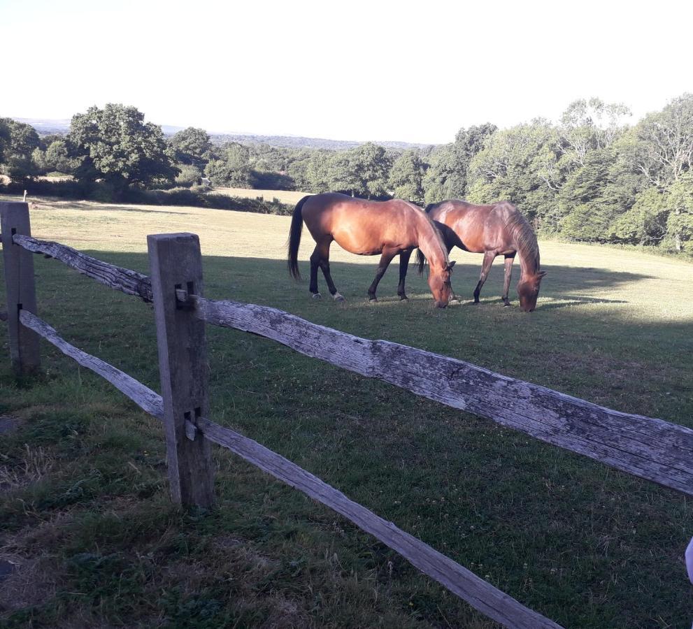 Moaps Farm B&B Support Small Business, Welcome, Check In From 5 Pm Danehill Buitenkant foto
