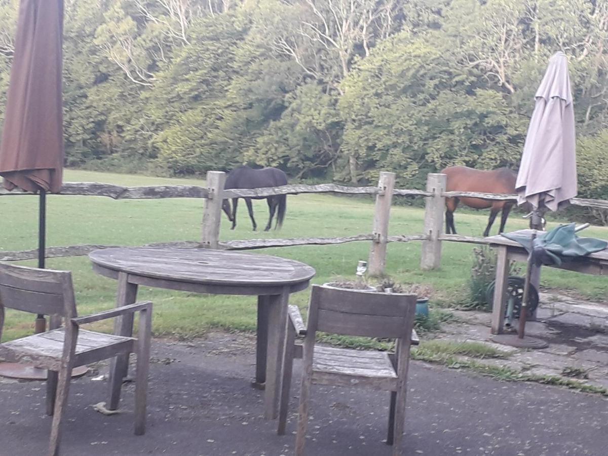Moaps Farm B&B Support Small Business, Welcome, Check In From 5 Pm Danehill Buitenkant foto