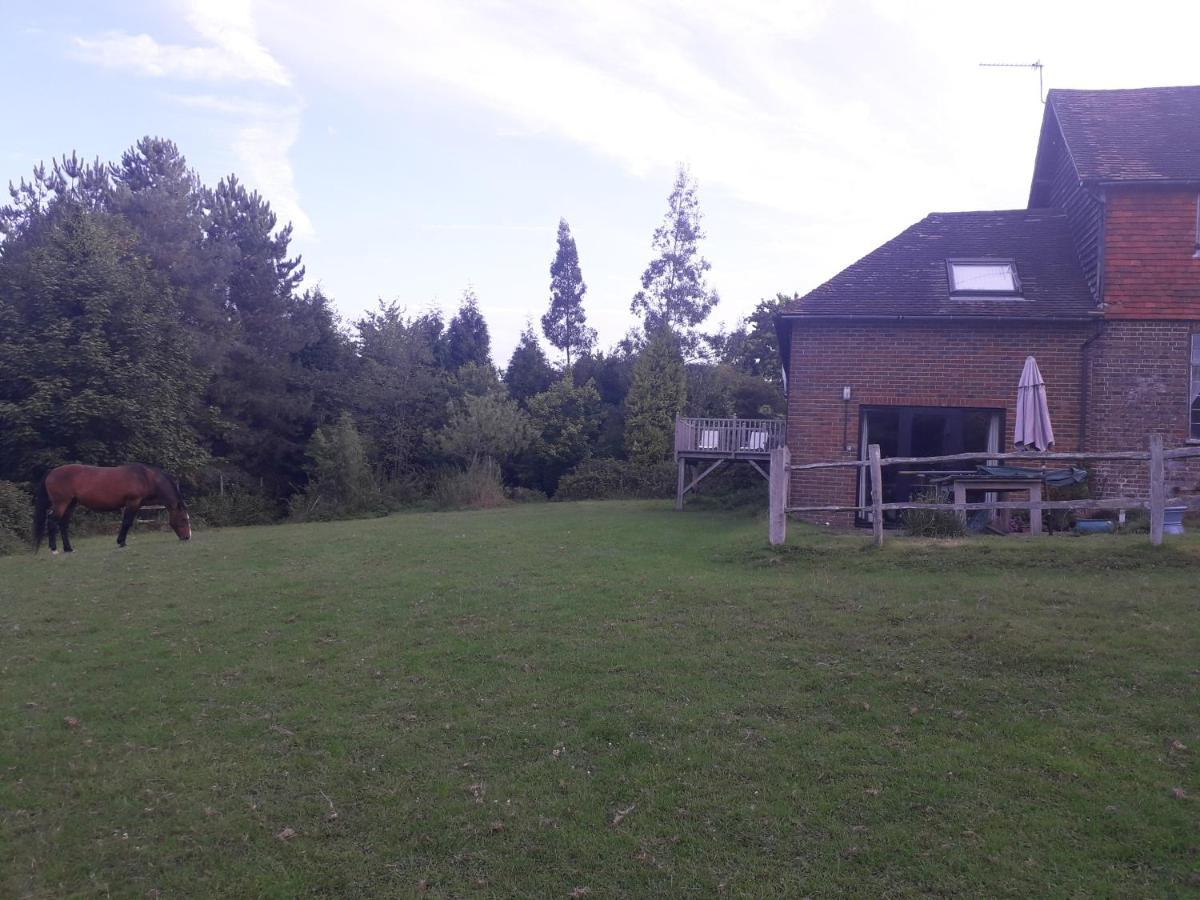 Moaps Farm B&B Support Small Business, Welcome, Check In From 5 Pm Danehill Buitenkant foto