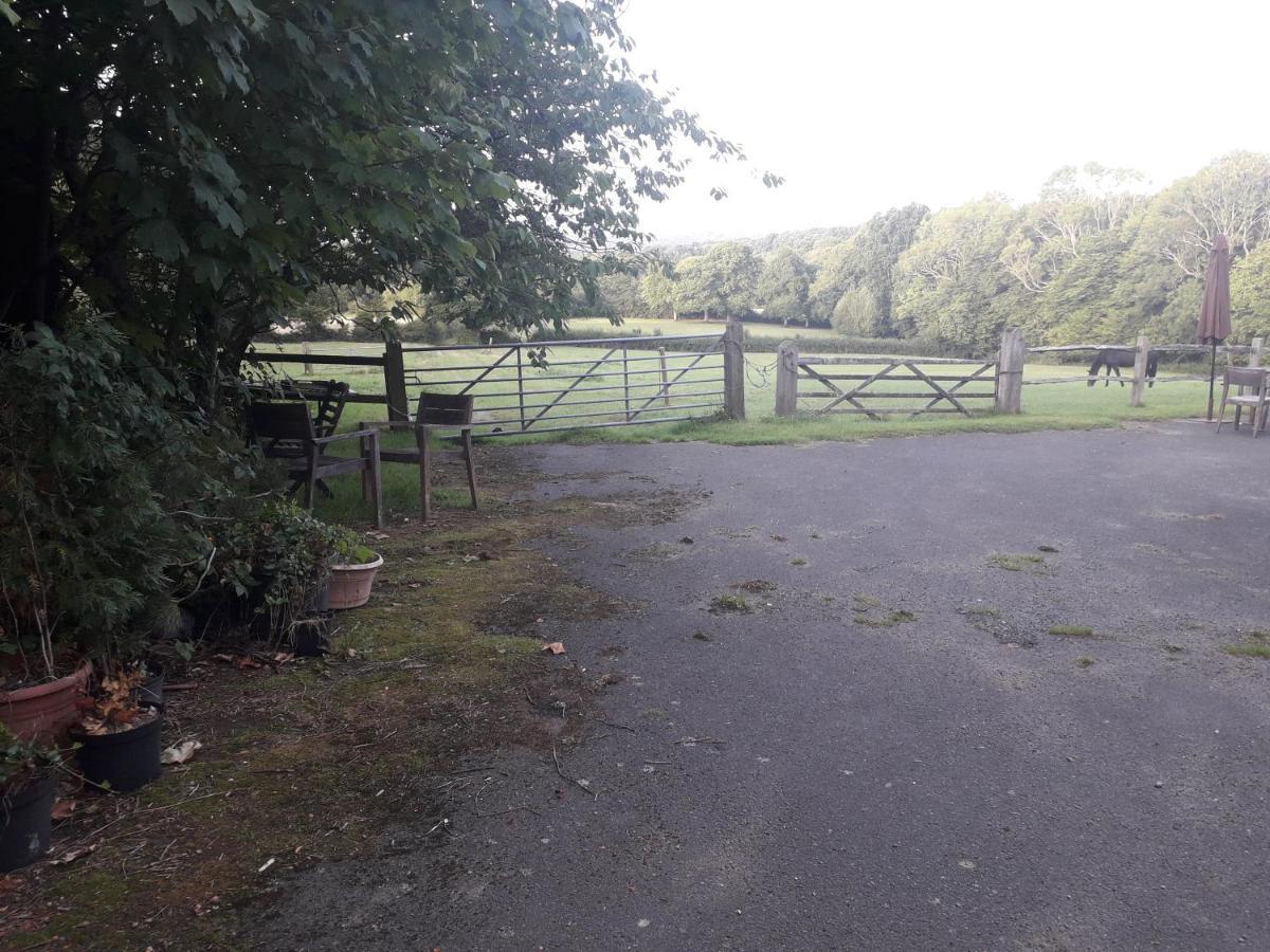 Moaps Farm B&B Support Small Business, Welcome, Check In From 5 Pm Danehill Buitenkant foto
