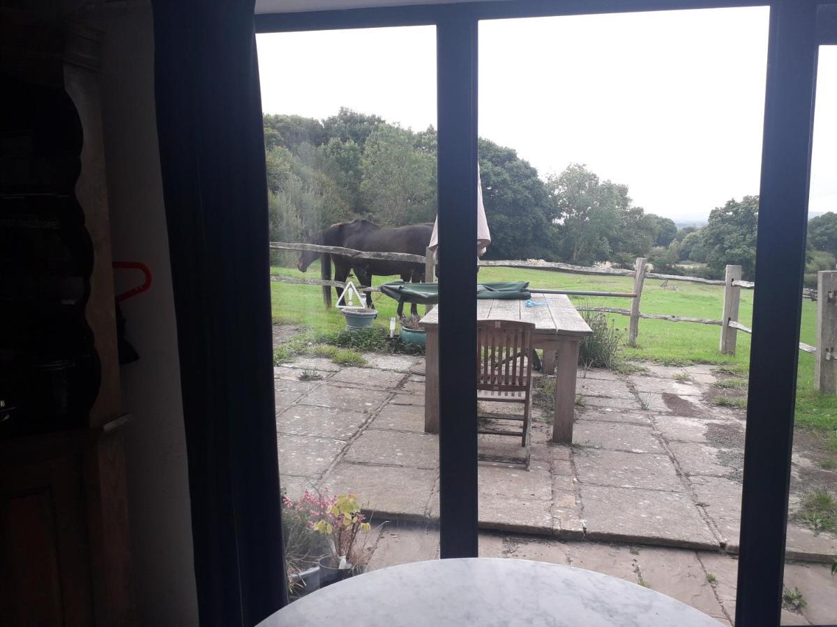 Moaps Farm B&B Support Small Business, Welcome, Check In From 5 Pm Danehill Buitenkant foto
