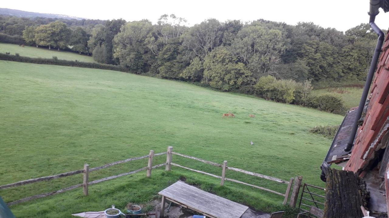 Moaps Farm B&B Support Small Business, Welcome, Check In From 5 Pm Danehill Buitenkant foto