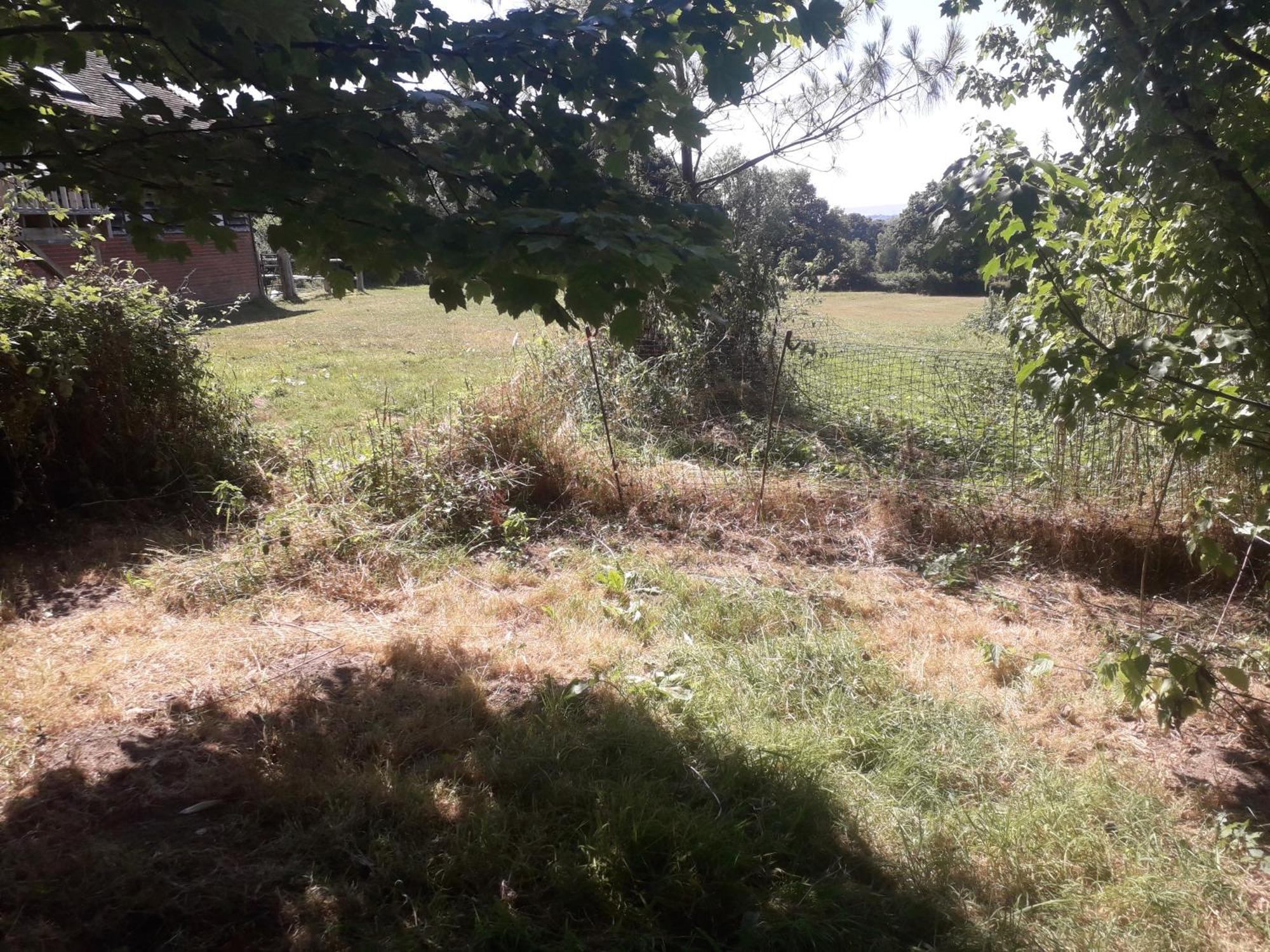 Moaps Farm B&B Support Small Business, Welcome, Check In From 5 Pm Danehill Buitenkant foto