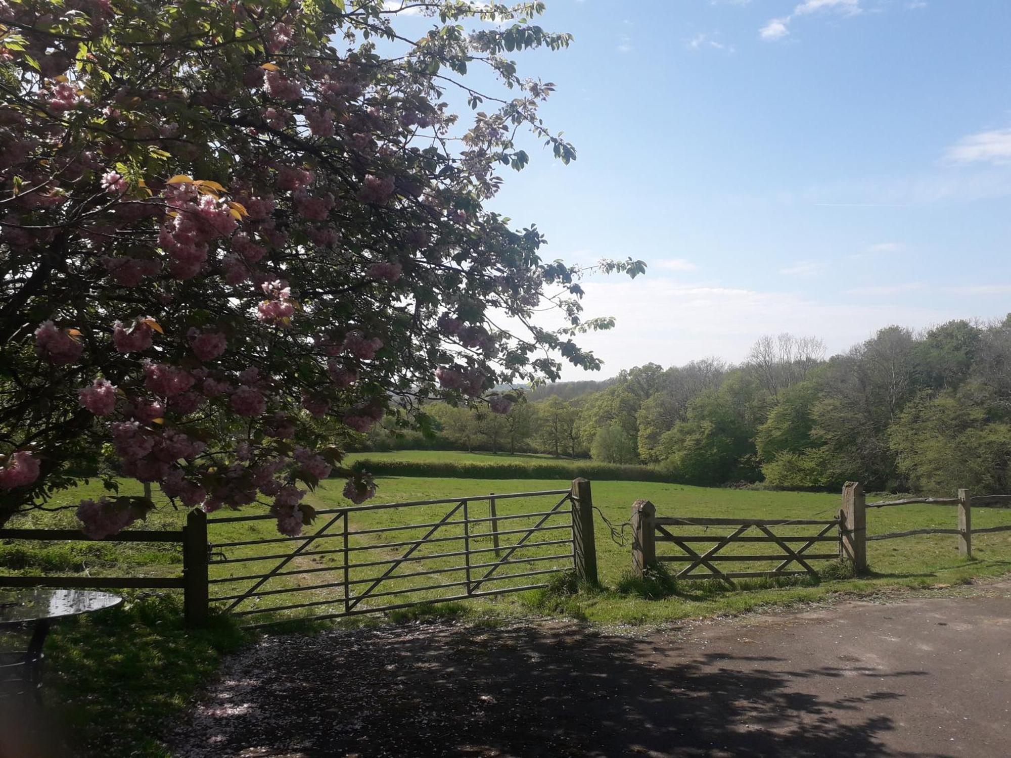 Moaps Farm B&B Support Small Business, Welcome, Check In From 5 Pm Danehill Buitenkant foto